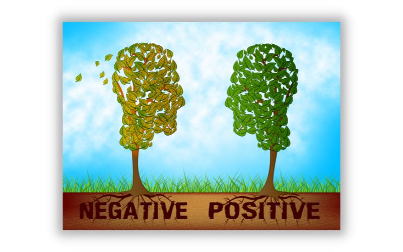 Positivity & Negativity 2022 Where To Start